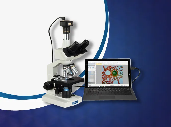 Stereo Zoom Microscopes